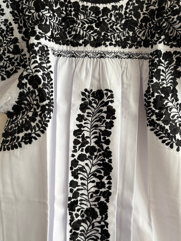 San Antonino Blanco / Negro