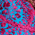 products/CLAUDIA_sanatonino_MCL_3.jpg